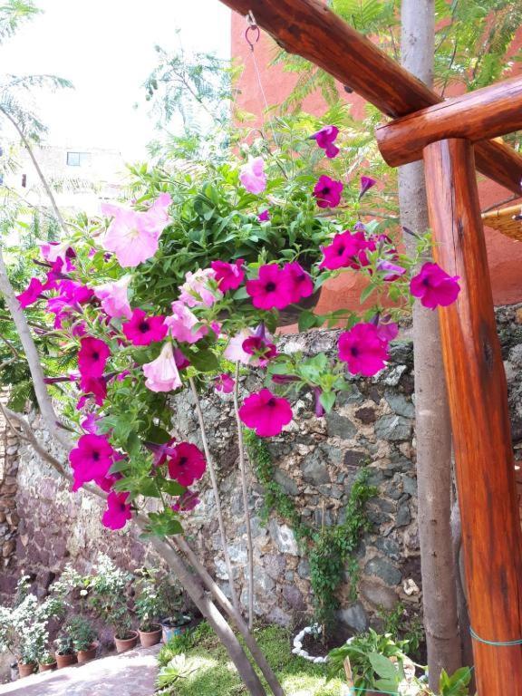 Casita Privada Del Chan 과나후아토 외부 사진
