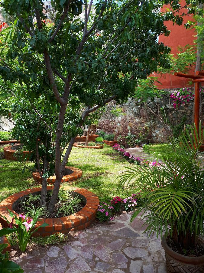 Casita Privada Del Chan 과나후아토 외부 사진